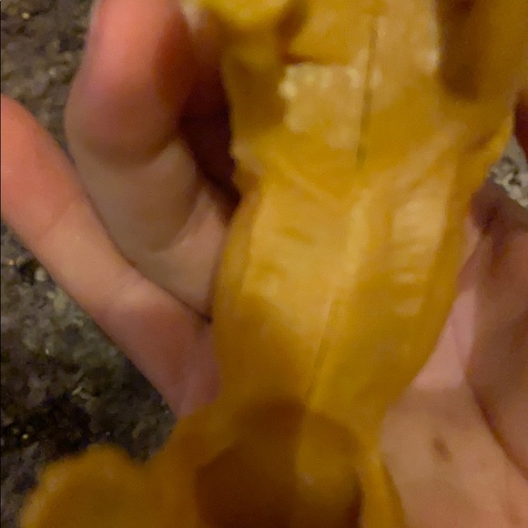 Tiger figuring. - Picture 7 of 9